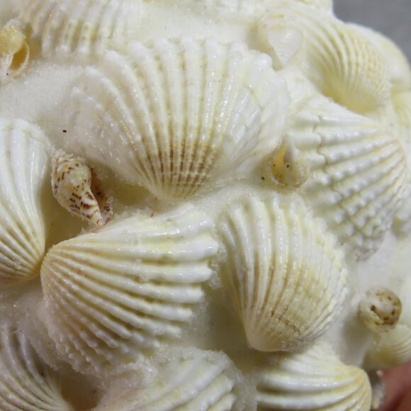 Sea Shell Ball - Orb - Round Coastal Decoration 12" round - Picture 2 of 10